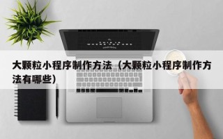 龙海大颗粒小程序制作方法（大颗粒小程序制作方法有哪些）