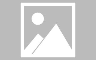 龙海诸城定制网站建设（诸城网络科技有限公司）